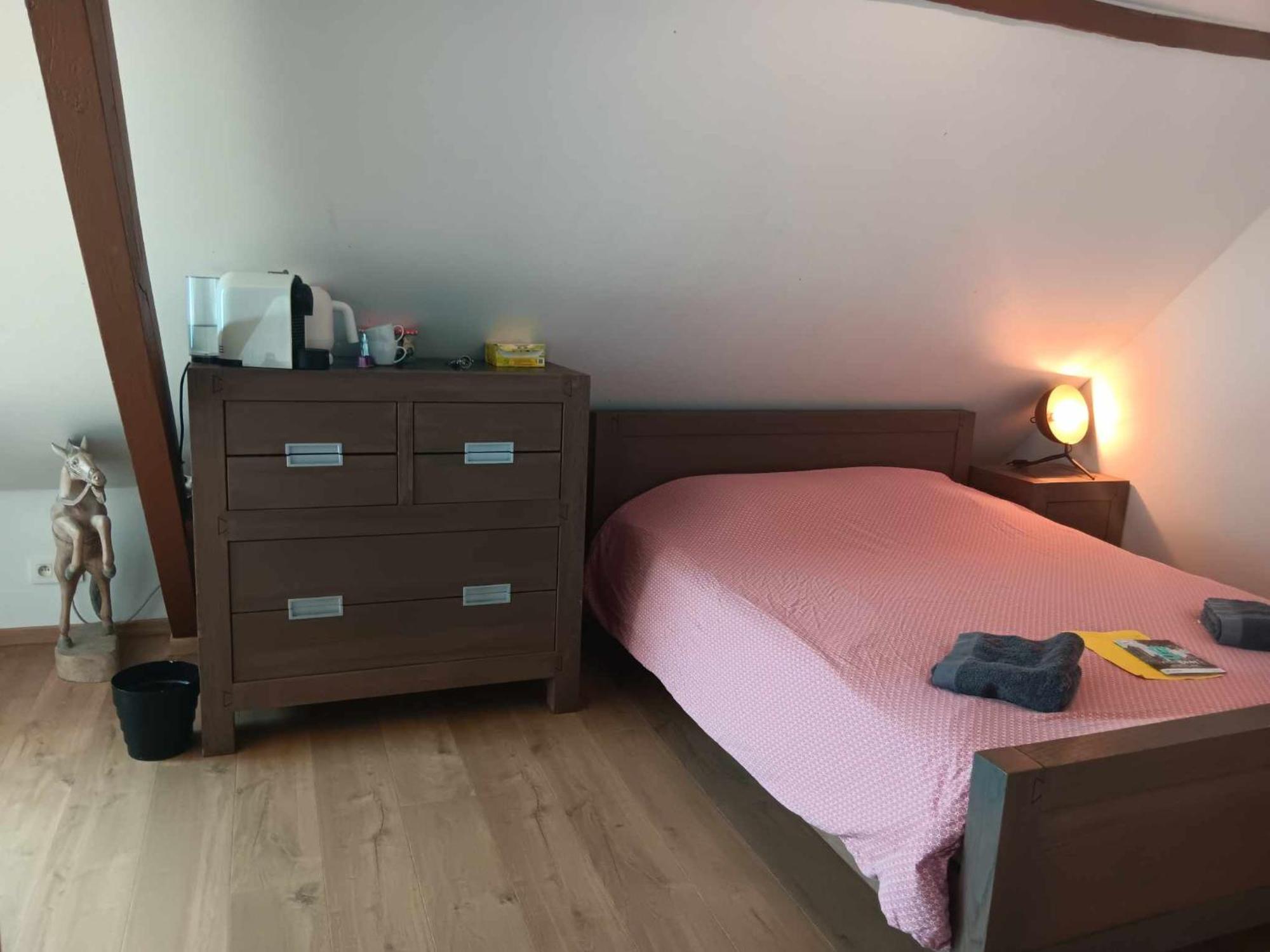 Quartier Leonard Bed and Breakfast Gent Exteriör bild